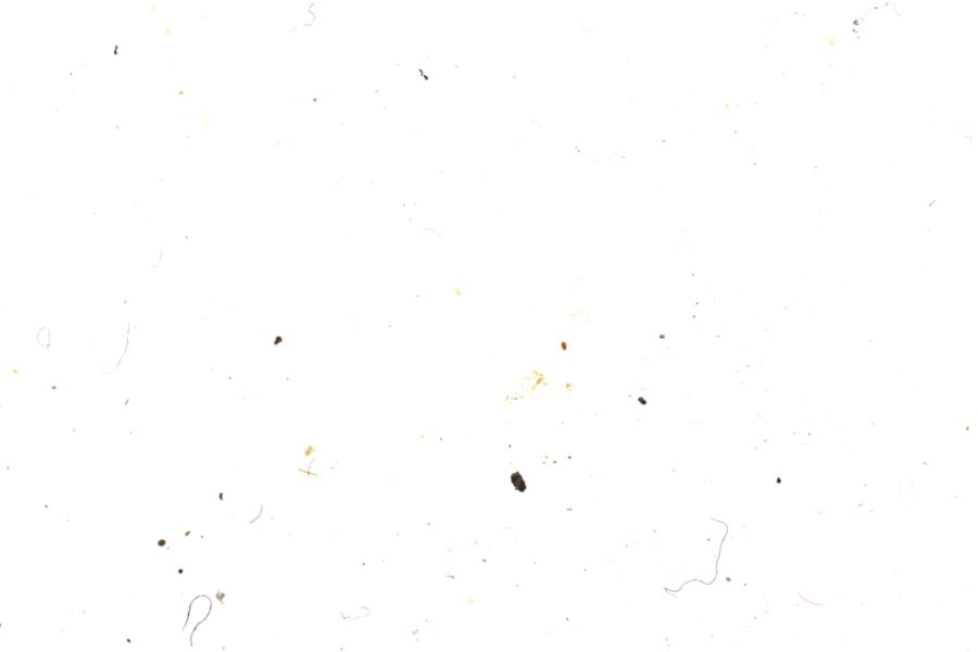 Image 33